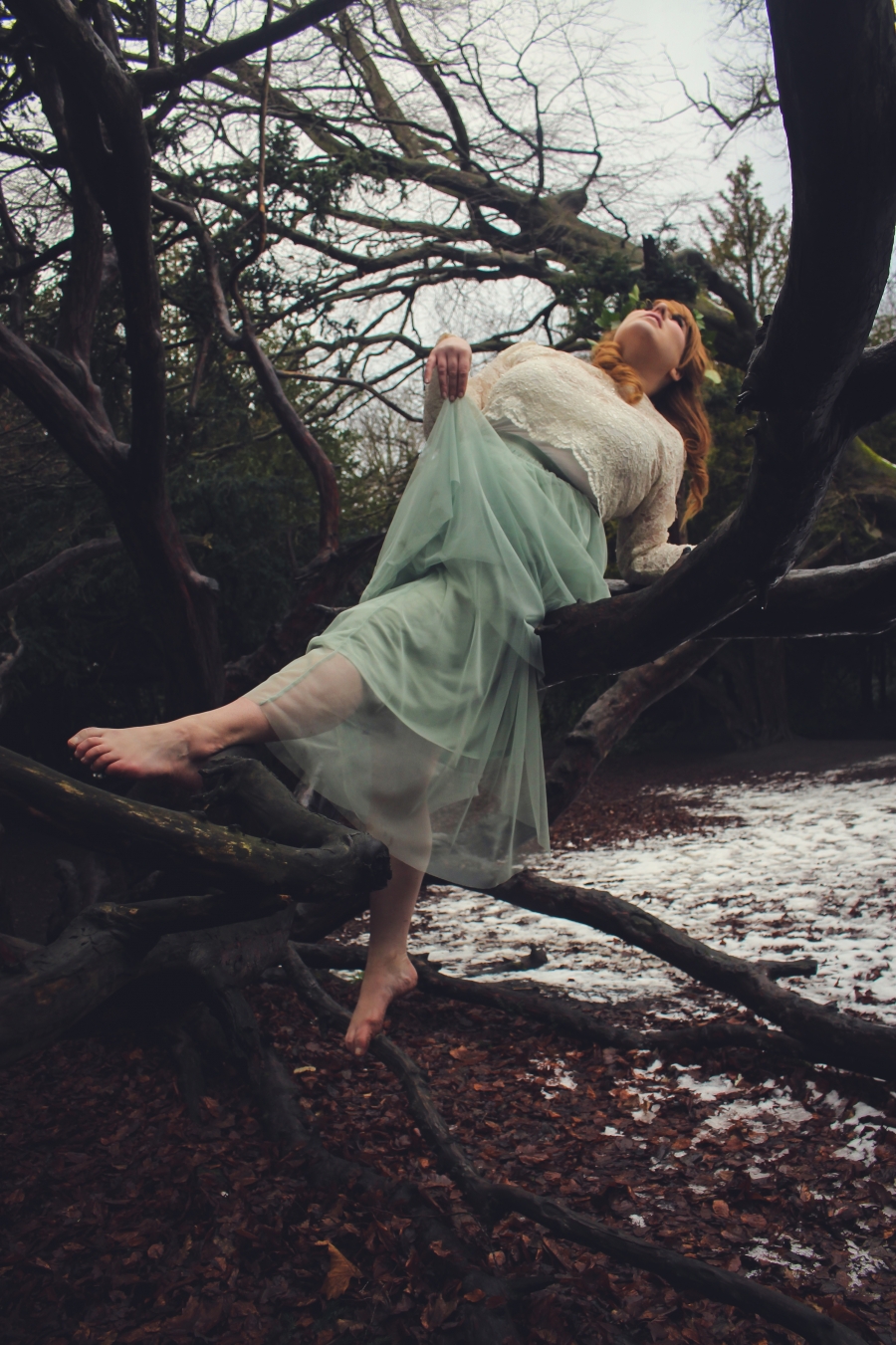 Renaissance Winter Fairy